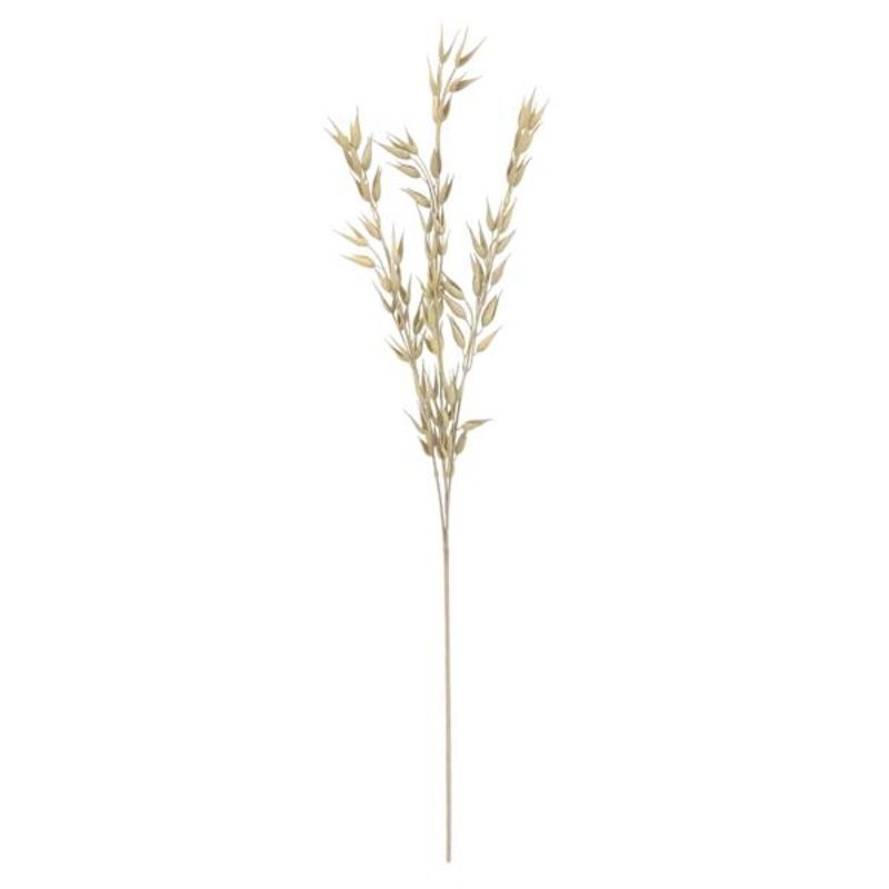 Found & Fable White Oat Stem, 31″