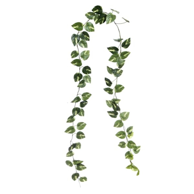 Pothos Garland, 72″