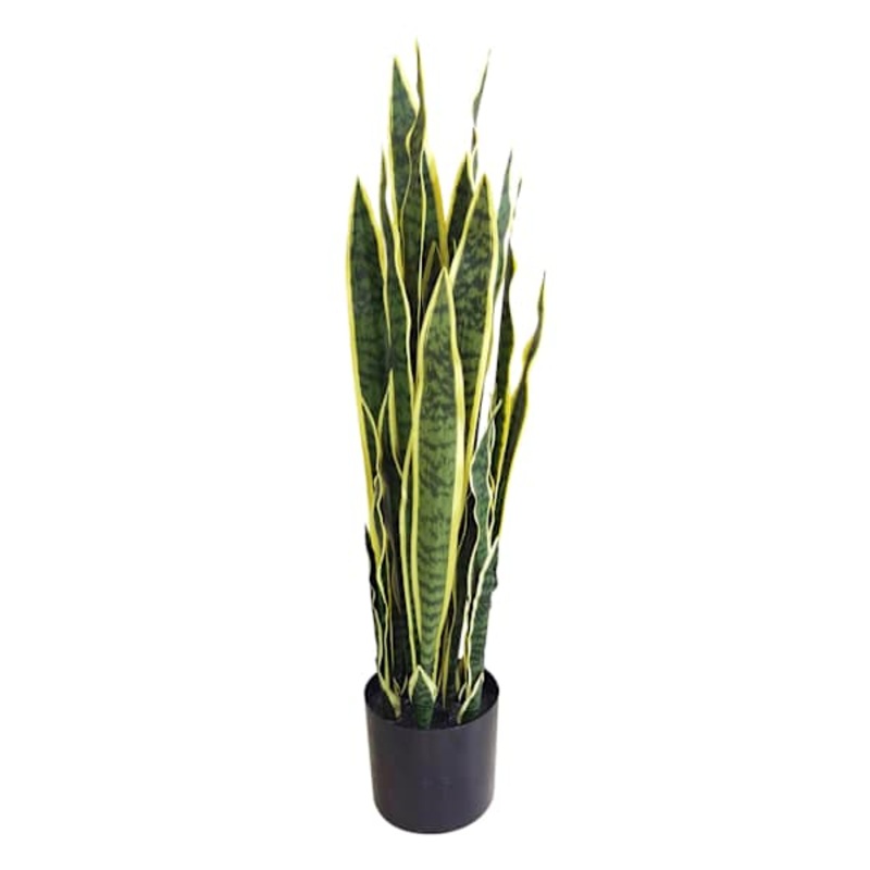 Potted Snake Plant, 3′