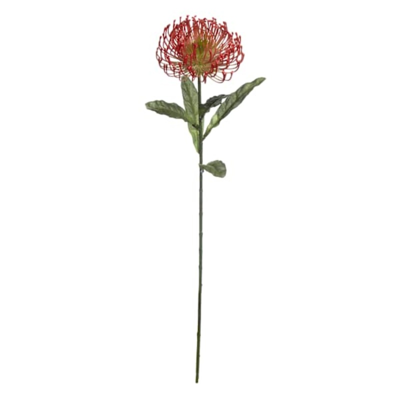 Red Protea Floral Stem, 27″