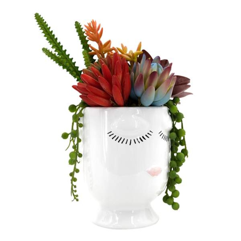 Succulent Mix in Face Vessel, 9.5″