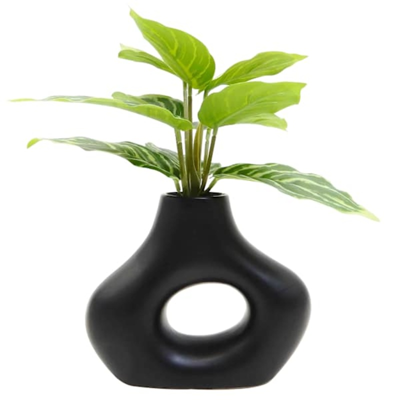 Varigated Rubber Plant in Ceramic Vase, 11″