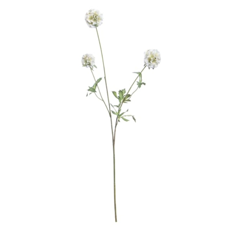White Scabiosa Spray, 29.5″