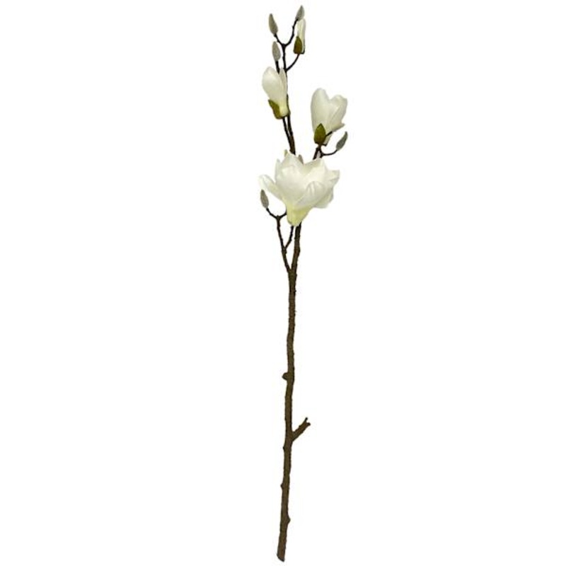 Willow Crossley White Magnolia Flower Branch, 32″