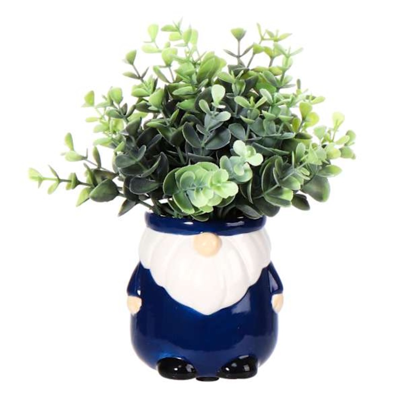 Eucalyptus in Blue Gnome Pot