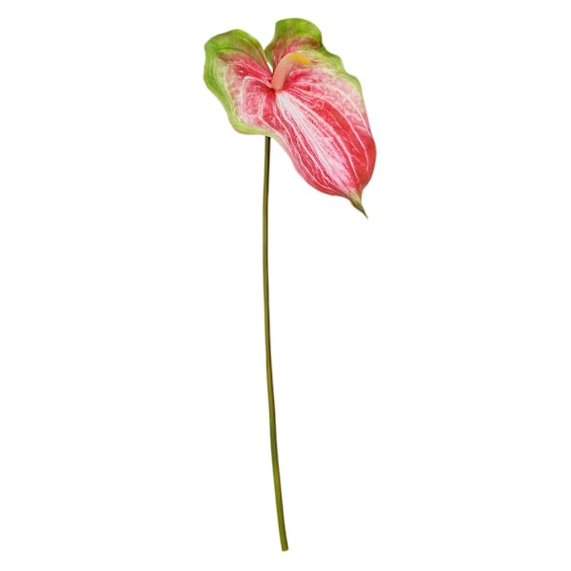 Green & Pink Anthurium Stem, 27.5″