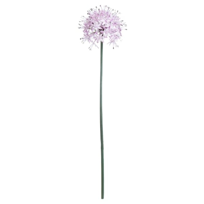 Light Purple Allium Stem, 29″