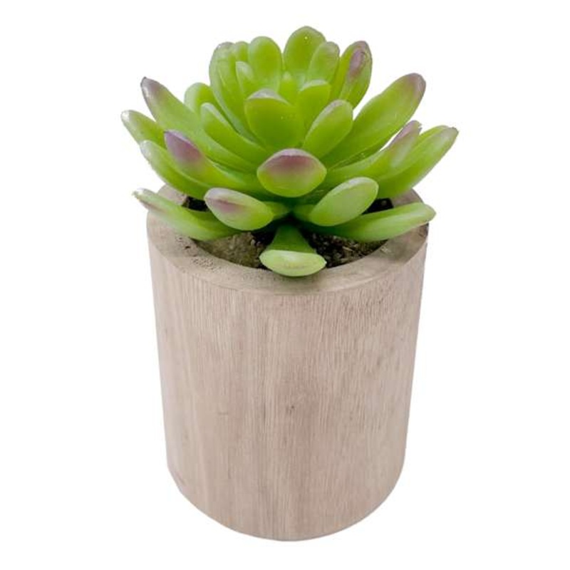 Lotus with Brown Wooden Planter, 4.5″