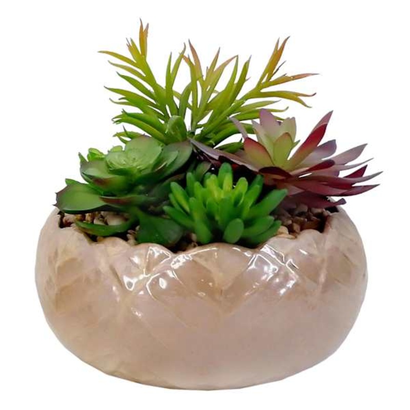 Succulent Mix with Glossy Ceramic Planter, 8″