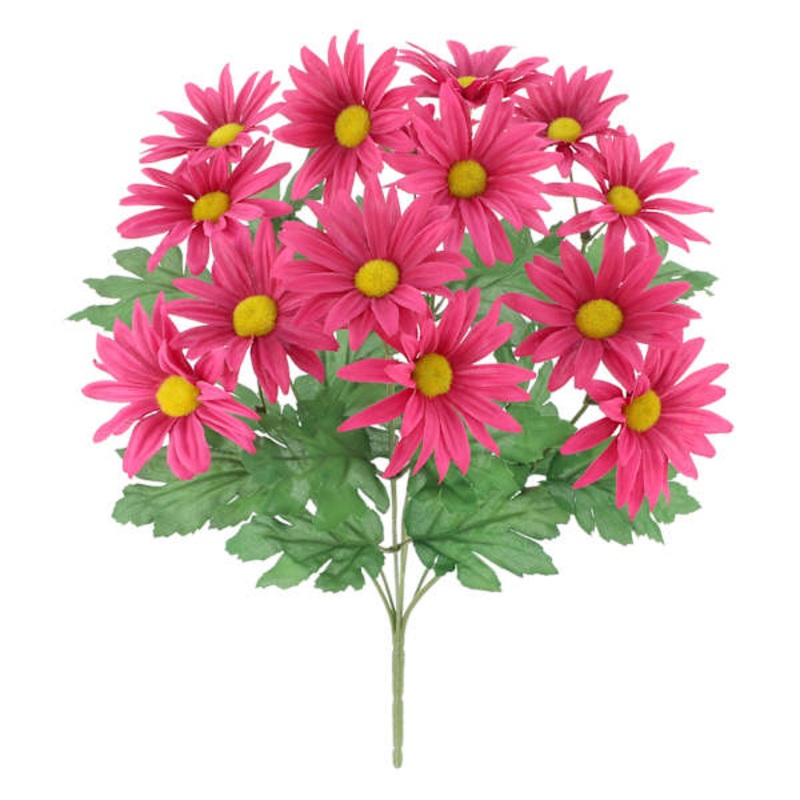 Dark Pink Daisy Bush, 18″