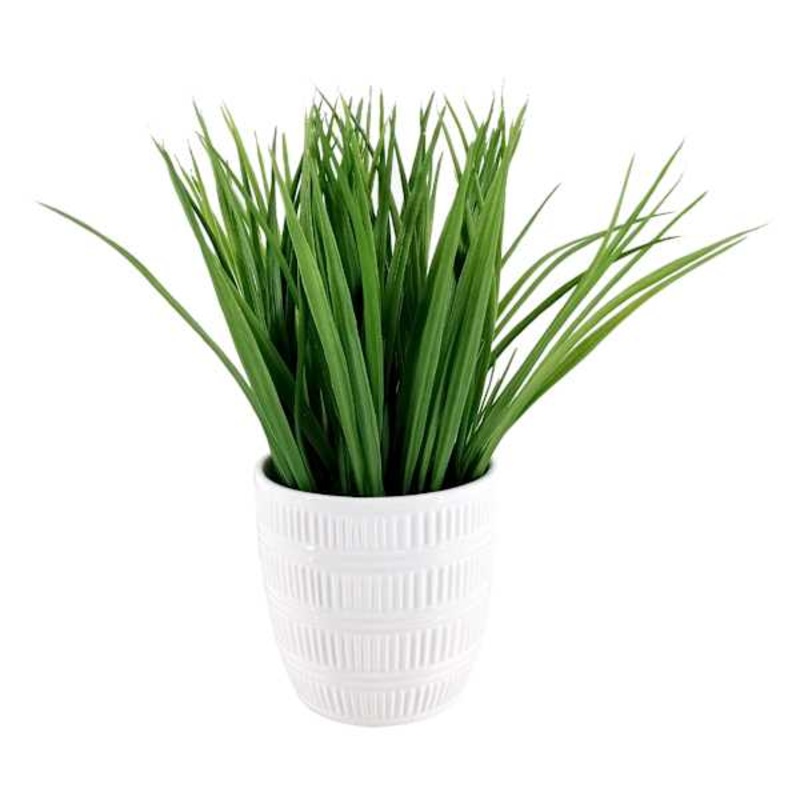 Grass Plant with White Planter, 10″
