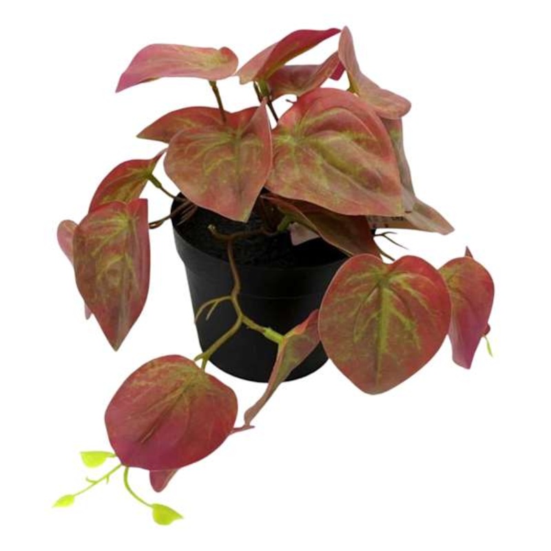 Red Greenery in Pot, 6″