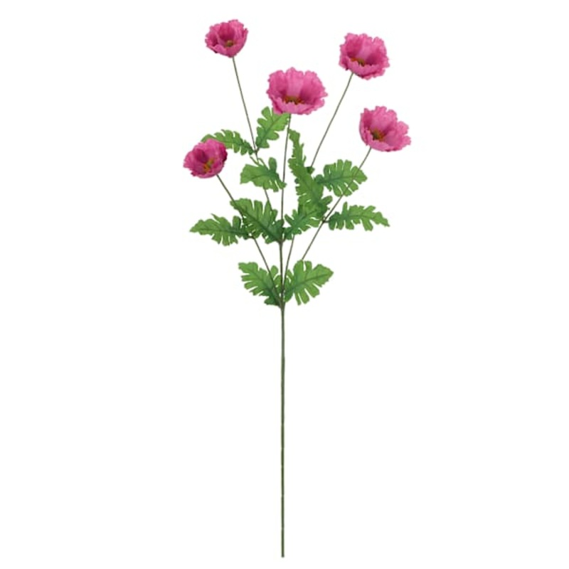 Red Poppy Stem, 30.25″