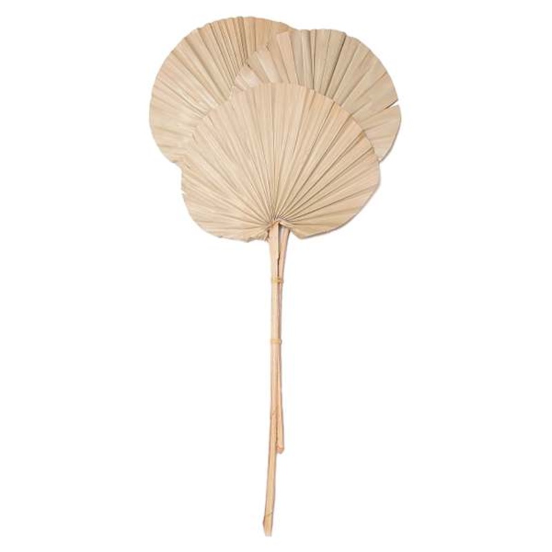 Set of 3 Palm Leaf Stems