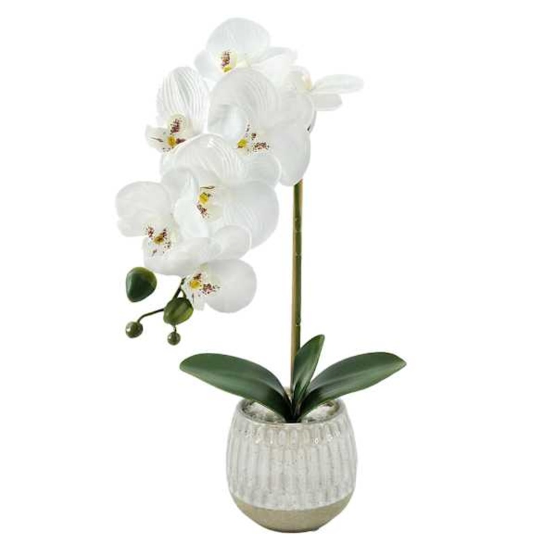White Orchid Flowers with Ceramic Planter, 16″