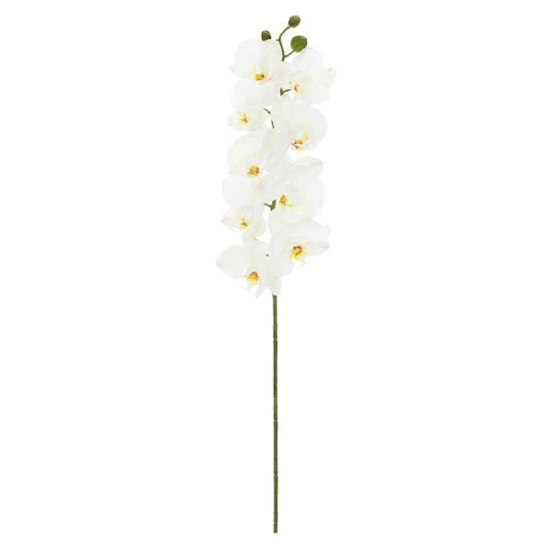 White Orchid Stem, 29.5″