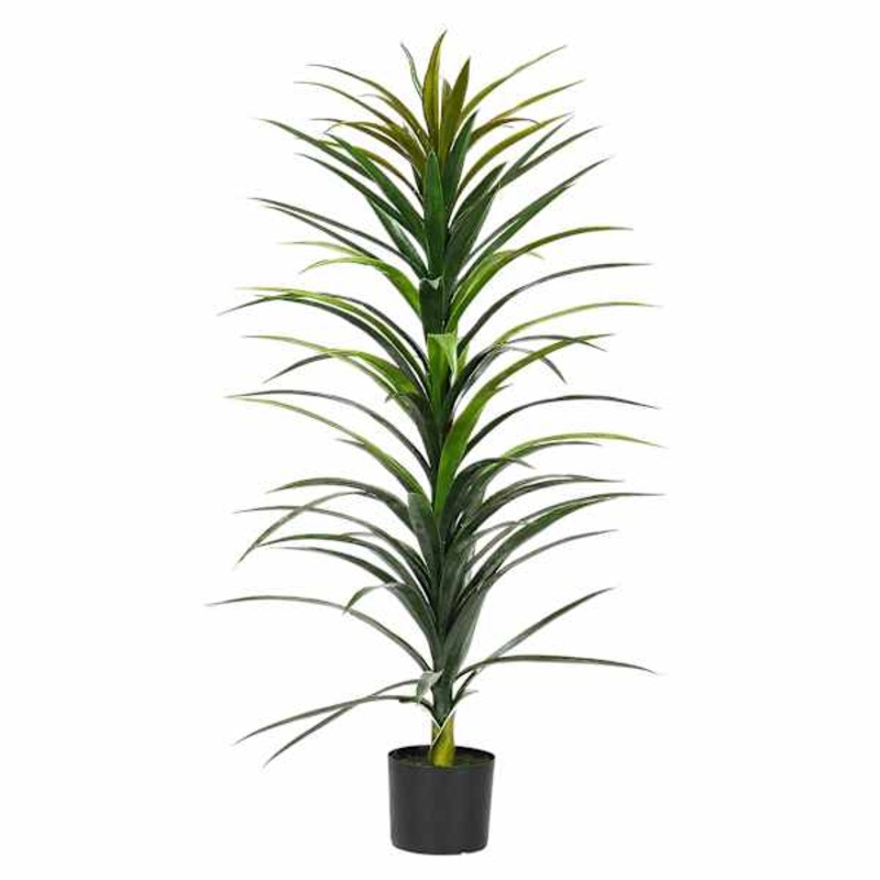 Yucca Tree with Black Planter, 48″