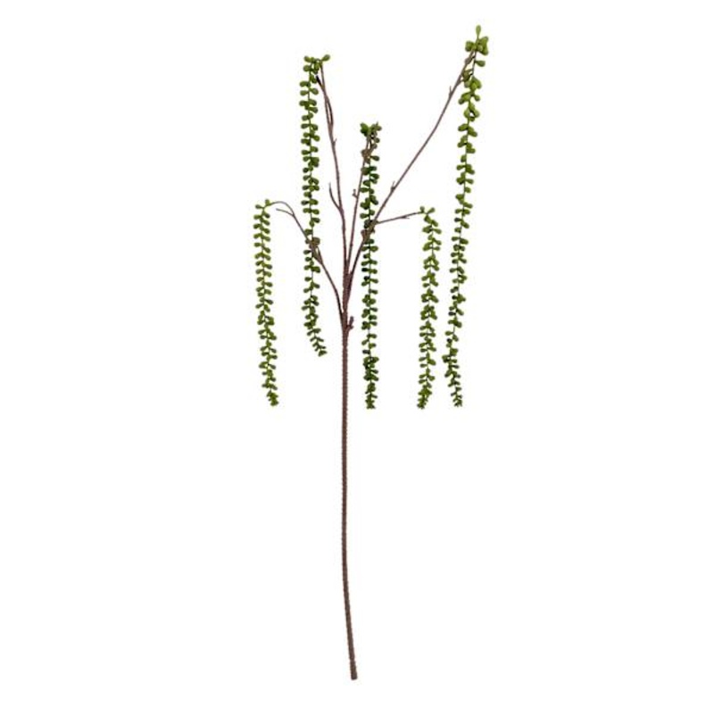 36.5Lstring Of Pearls Stem