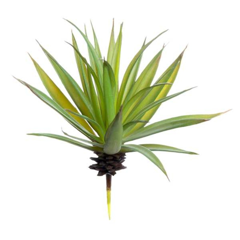 Aloe Plant Pick, 7″