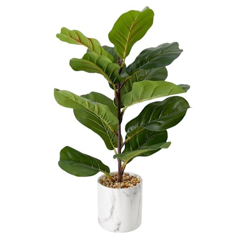 Fiddle Leaf in Ceramic Pot, 22″