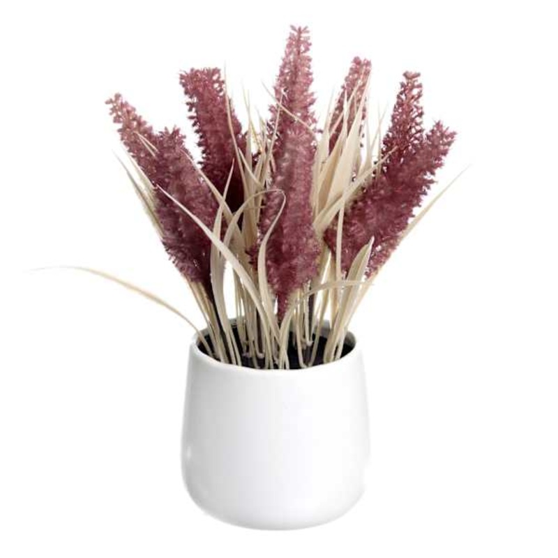Honeybloom Mauve Dog Tail in Ceramic Pot, 11″