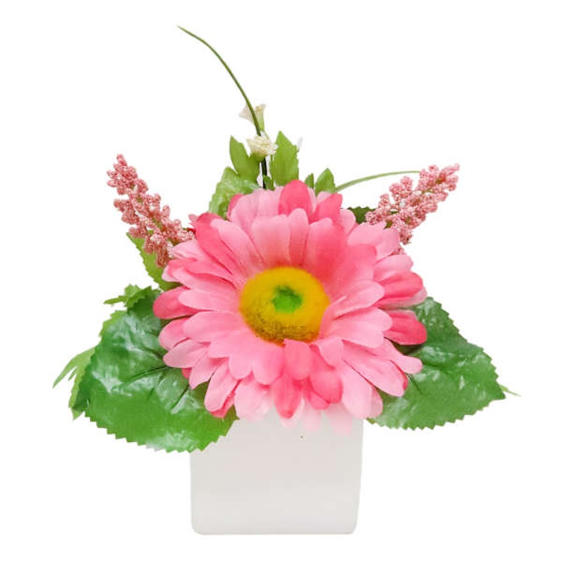 Large Pink Daisy in White Ceramic Pot, 7″