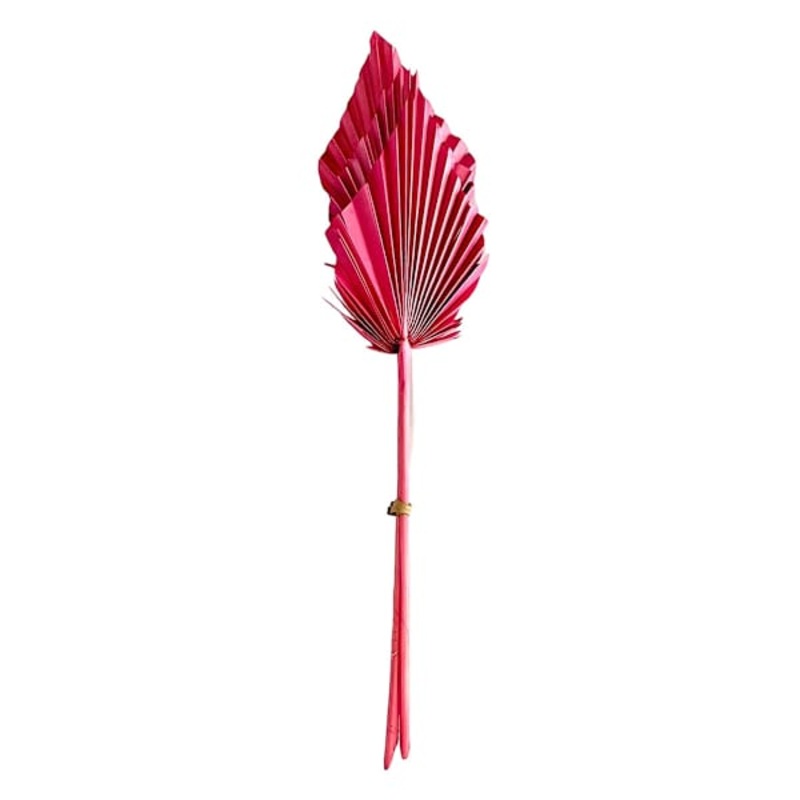Pink & Mauve Palm Spear, 19″