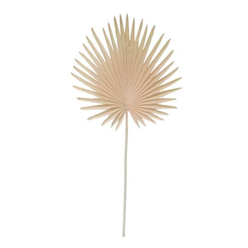 Tracey Boyd Khaki Fan Palm Stem, 35″