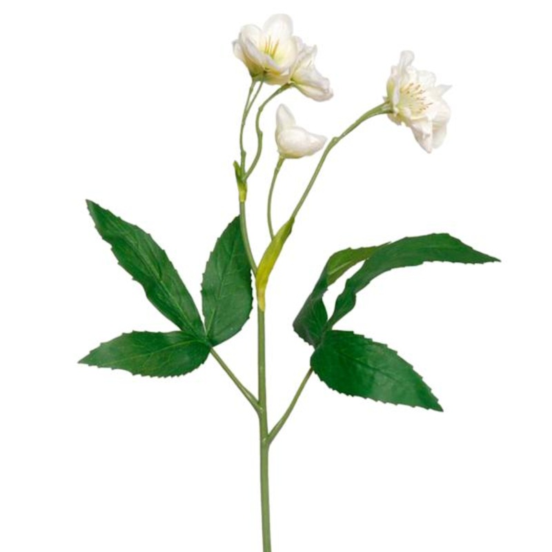 Willow Crossley White Hellebore Floral Spray, 25″