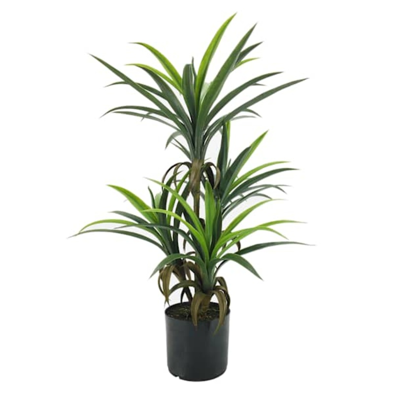 Yucca Tree with Black Planter, 33″