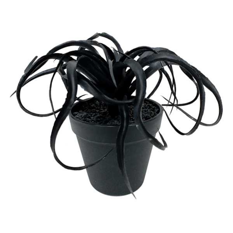 Black Air Plant Arrangement | At Home