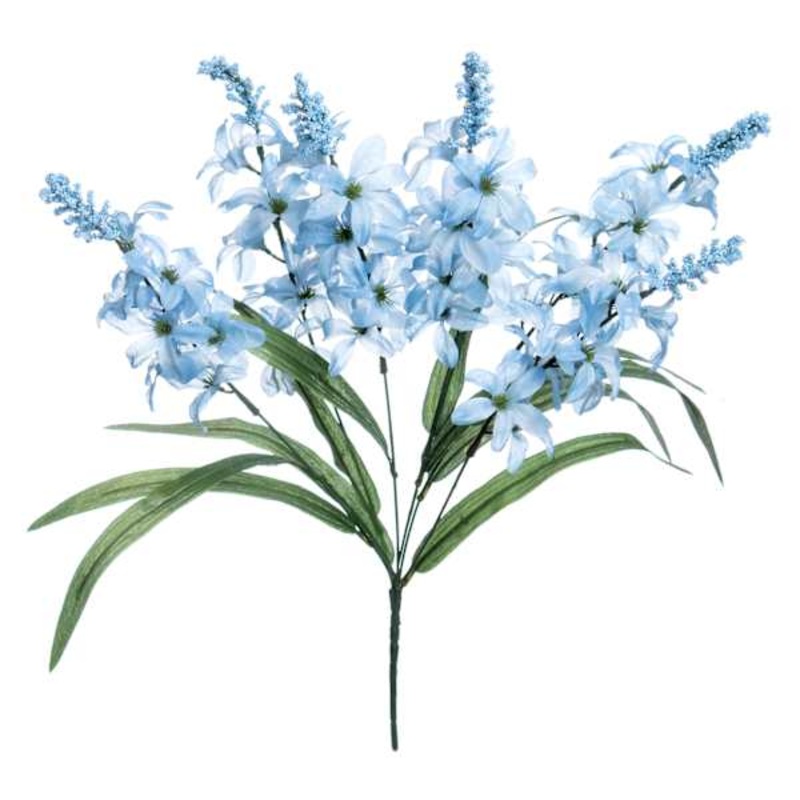 Blue Hyacinth Bush, 20″