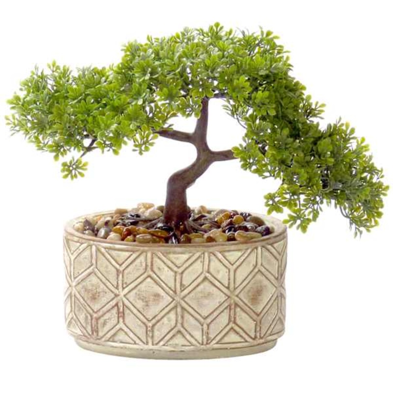 Bonsai Tree with Glazed Ceramic Planter, 11.5″