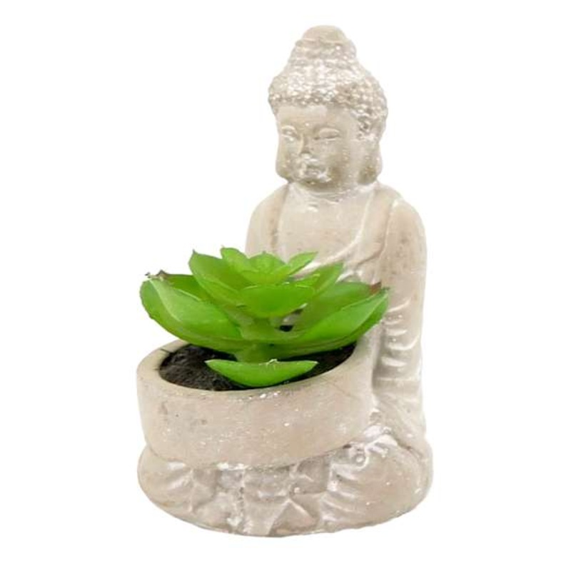Found & Fable Succulent in Buddha Pot, 4.5″