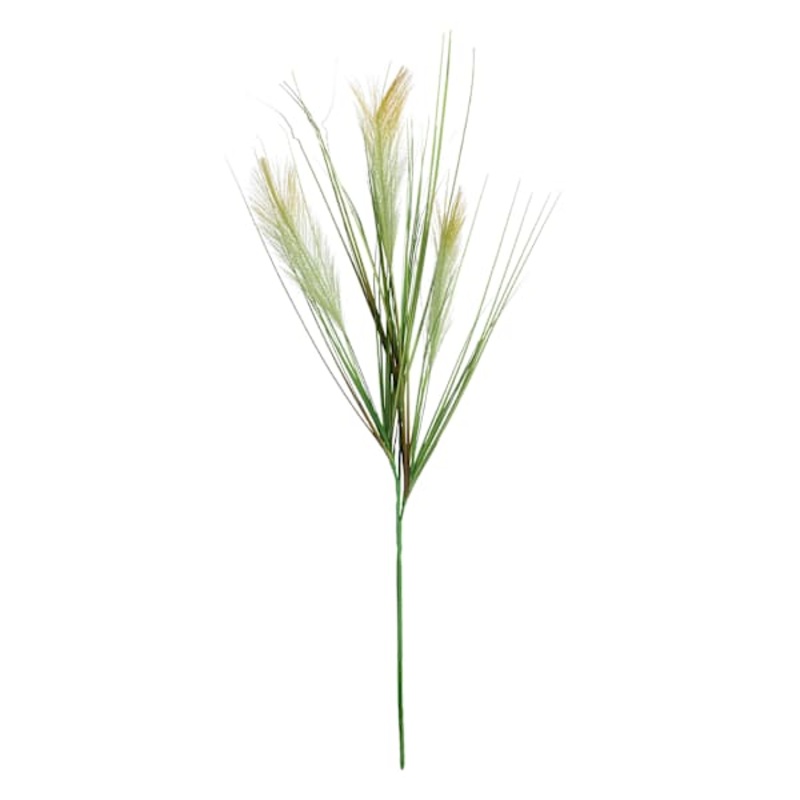 Green Plume & Onion Grass Stem, 38″