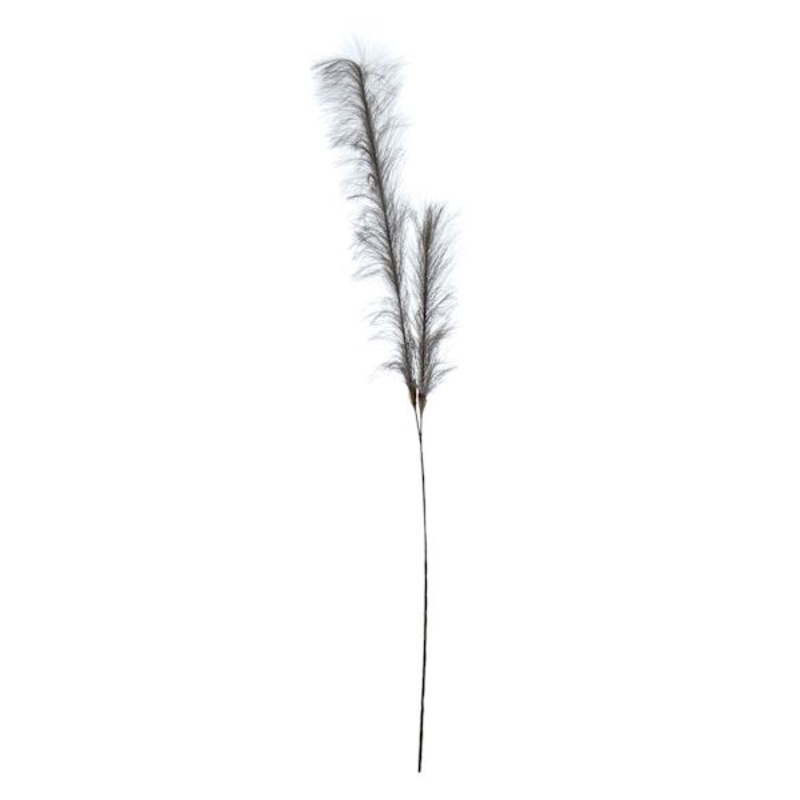 Grey Pampas Grass Spray, 49″