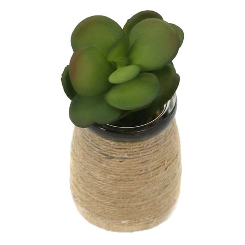 Jade in Glass Vase, 4.75″