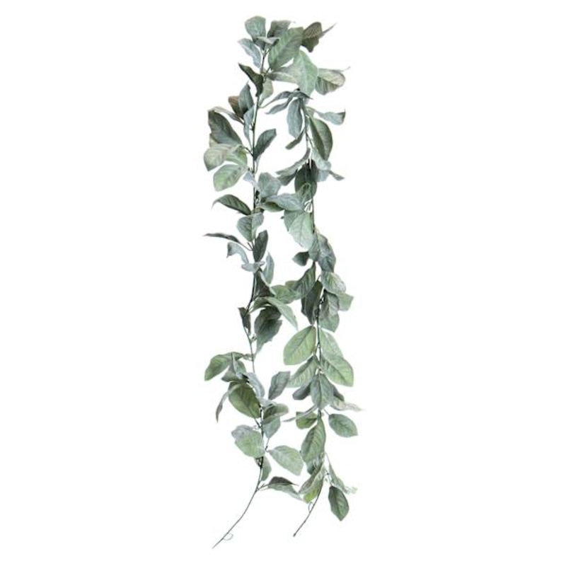 Lambs Ear Garland, 72″