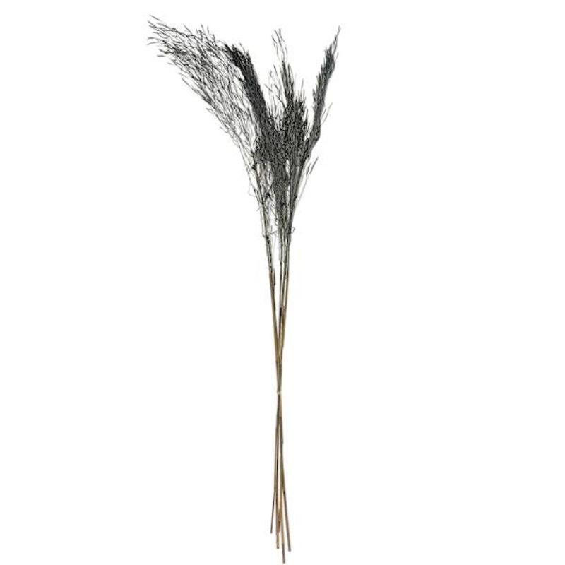 Slate Blue Chorao Grass Bundle