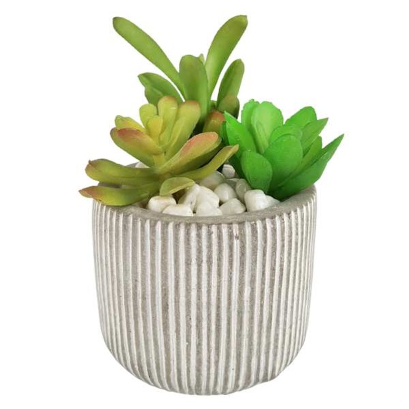 Succulents in Grey Striped Pot, 4.8″