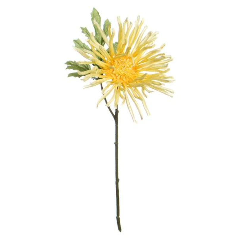 Yellow African Daisy Pick, 11″
