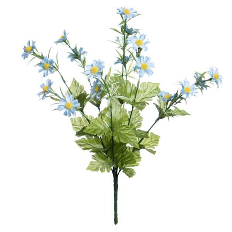 Blue Daisy Bush, 19″