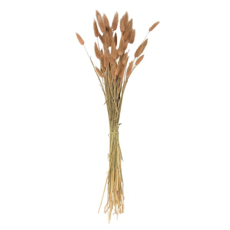 Blush Pink Bunny Tails Bundle, 28″