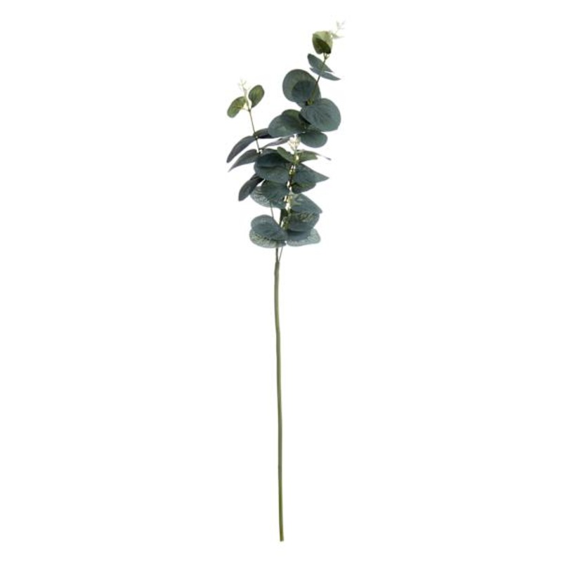 Green Eucalyptus Stem, 28″