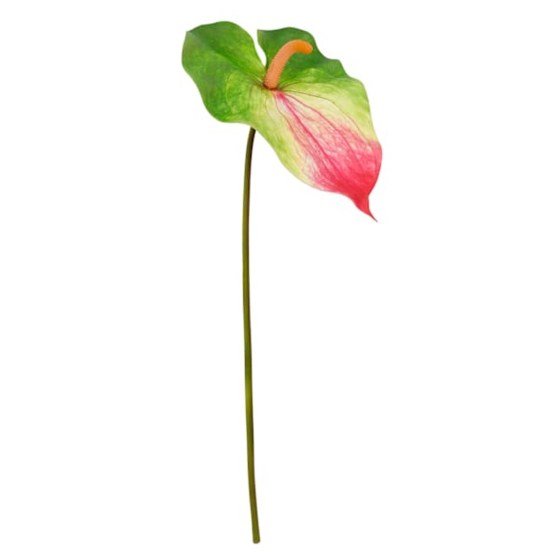 Green & Pink Anthurium Stem, 27.5″
