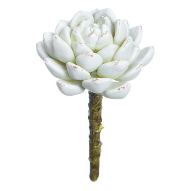 Rose Echeveria Pick, 5″