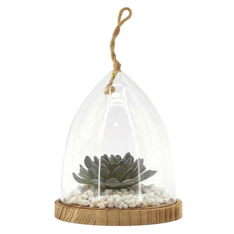 Ty Pennington Succulent in Glass Vessel with Wood Base, 6.5″