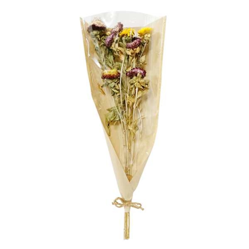 Willow Crossley Dried Daisy Bundle, 20″