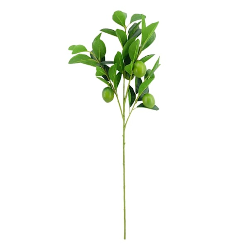 Willow Crossley Green Lime Branches, 24″