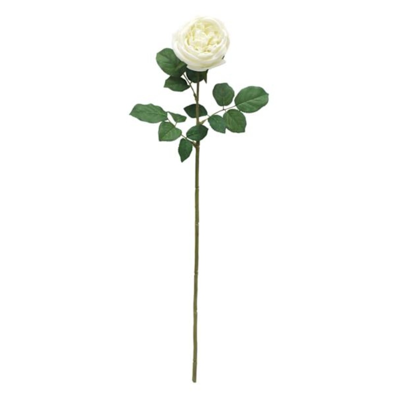 Willow Crossley Ivory Real Touch Rose Floral Stem, 25.6″